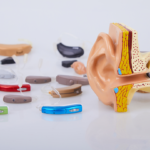 Top 10 Signia hearing aids with the Best Price